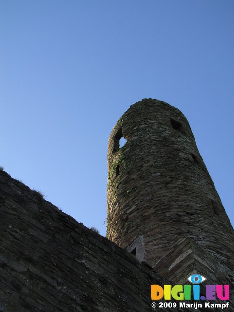 SX02385 Round church tower of St. Mary's Abbey Ferns